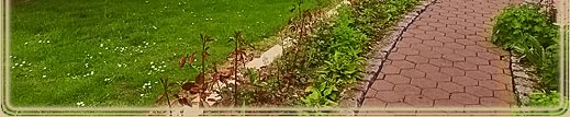 Hausfront_teil_unten